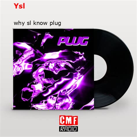 chsmpagne ysl know plug|Why SL Know Plug .